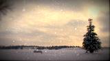 Small Pine Snow