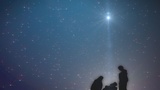 Nativity Stars