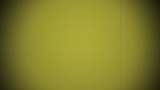 Vintage Grain Yellow